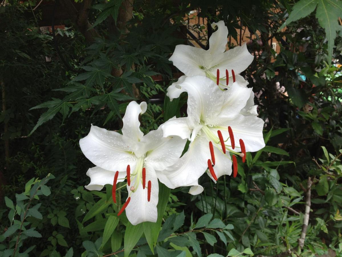 Otsu Nature Garden Akiruno المظهر الخارجي الصورة