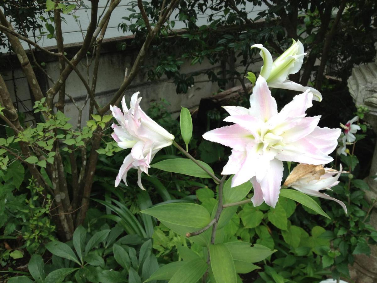 Otsu Nature Garden Akiruno المظهر الخارجي الصورة