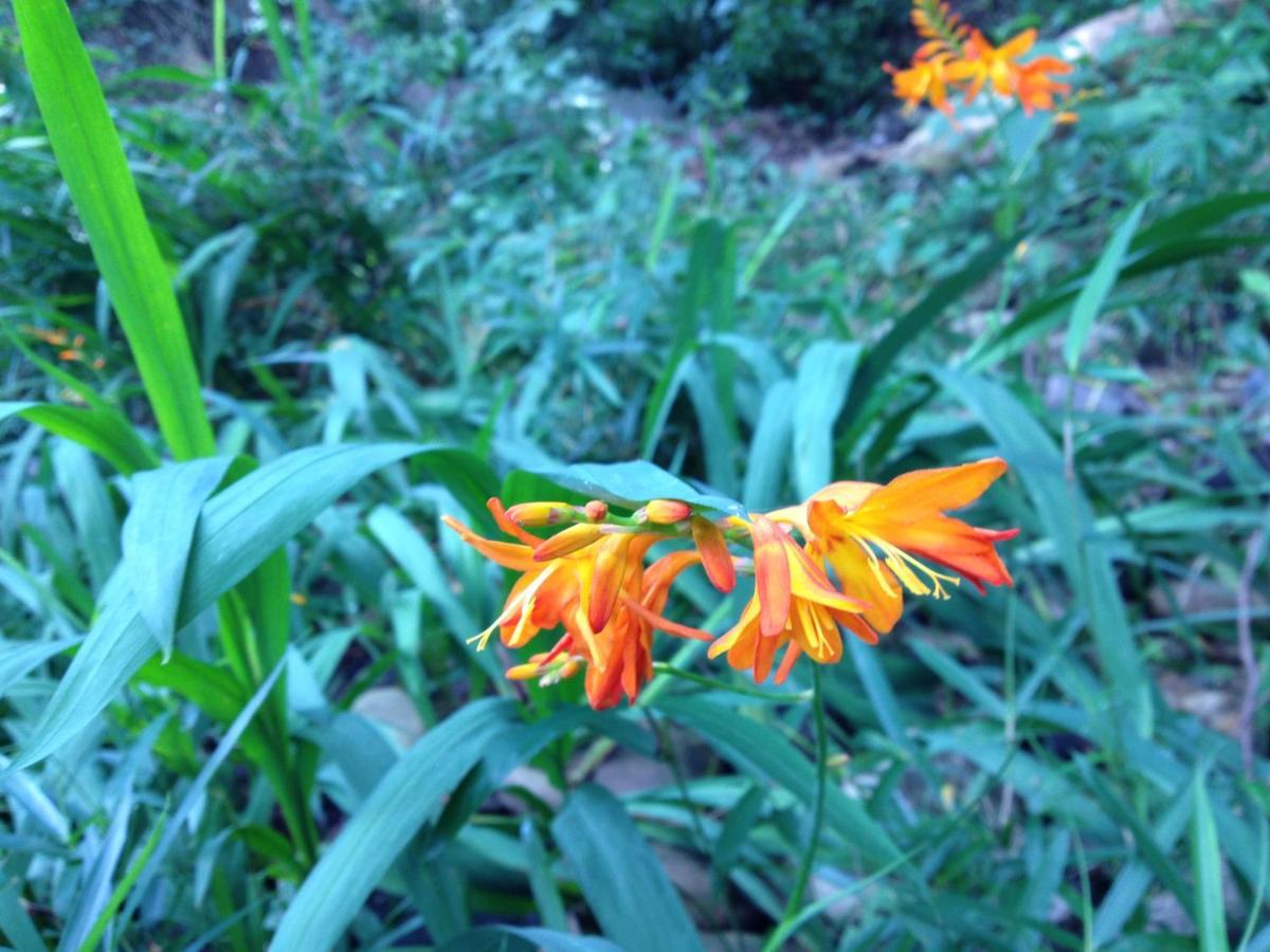 Otsu Nature Garden Akiruno المظهر الخارجي الصورة