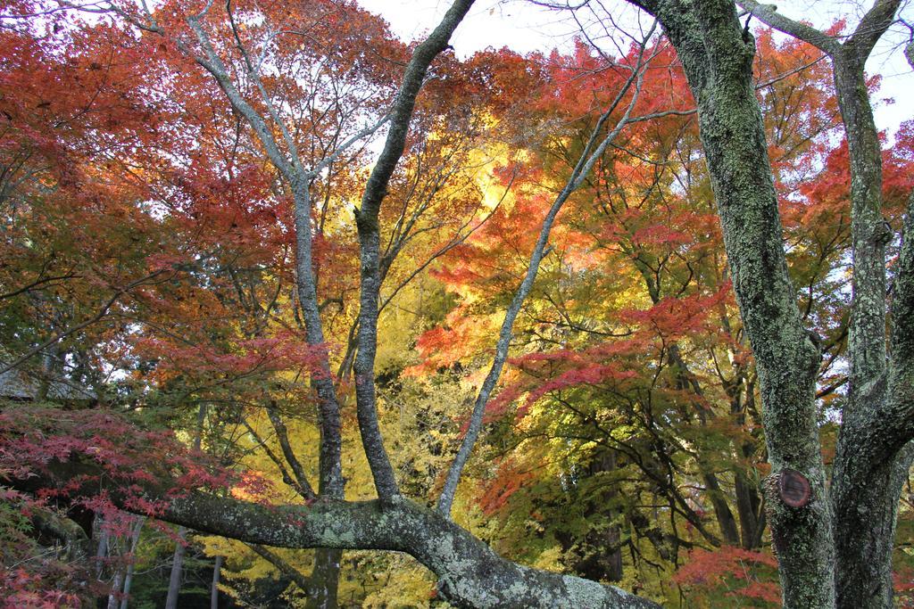 Otsu Nature Garden Akiruno المظهر الخارجي الصورة