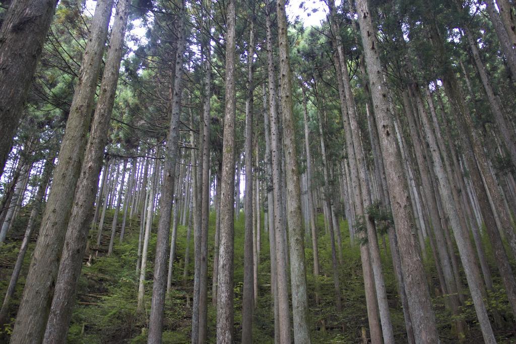 Otsu Nature Garden Akiruno المظهر الخارجي الصورة