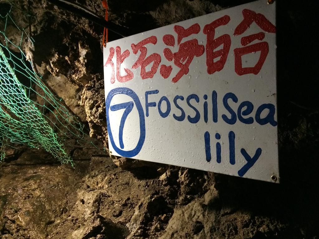 Otsu Nature Garden Akiruno المظهر الخارجي الصورة